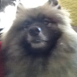 Meet your Posher, Kathrine